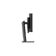 Lenovo | ThinkVision | P49w-30 | 49 