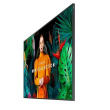 Samsung Professional monitor QB43C 43 inches Glossy 16h/7 350(cd/m2) 3840x2160 (UHD) S10 Player (Tizen 7, VXT Ready) WiFi/BT 3 years On-Site (LH43QBCEBGCXEN)