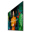 Samsung QH98C Professional Monitor 98 inches Matte 24h/7 700(cd/m2) 3840x2160 (UHD) S10 Player (Tizen 7) WiFi/BT 3 years On-Site (LH98QHCEBGCXEN)