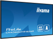 iiyama 43