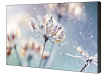 Samsung Professional monitor VM46B-U 46 inch Video wall Mat 24h/7 500(cd/m2) 1920 x 1080(FHD) N/A 3 years On-Site (LH46VMBUBGBXEN)