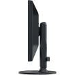 EIZO 61.0cm (24