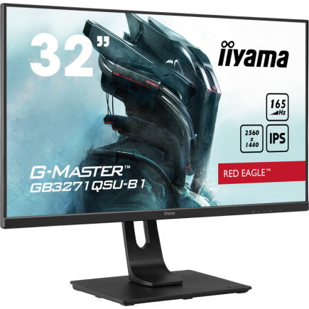 IIYAMA 80.0cm (31.5