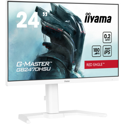 IIYAMA 60.5cm (23.8