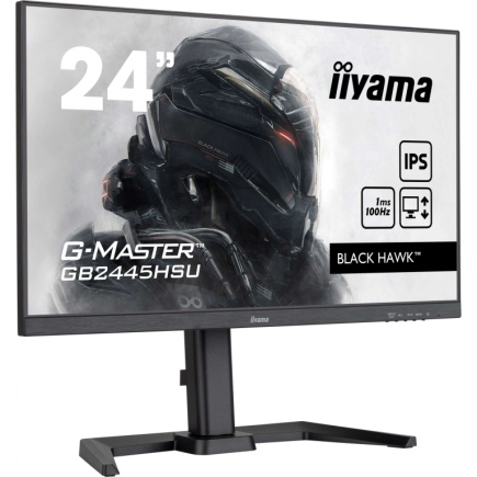 IIYAMA 60.5cm (24