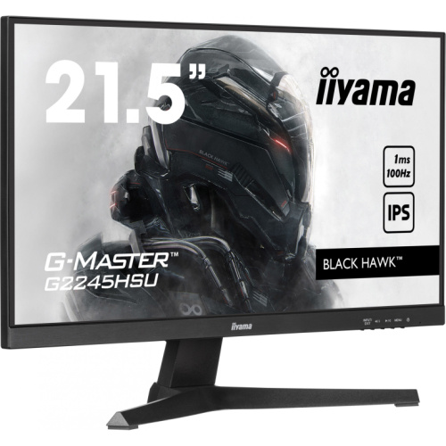 IIYAMA 54.5cm (21.5