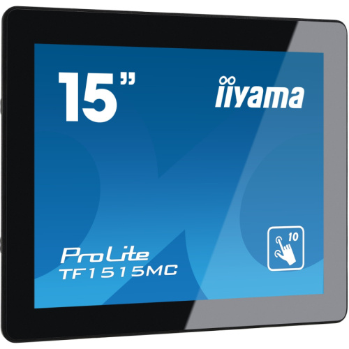 IIYAMA 38.0cm (15