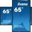 IIYAMA 164.0cm(65