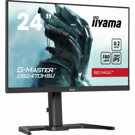 IIYAMA 60.5cm (24