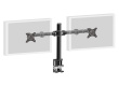iiyama Simple and functional dual desktop arm