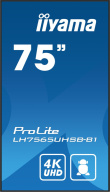 iiyama 75