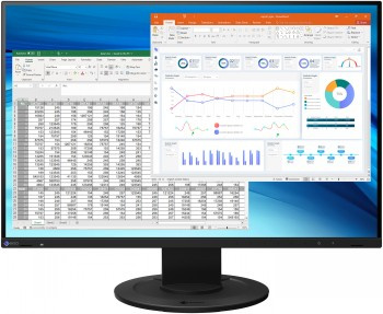 EIZO FLEXSCAN EV2410R 24.1