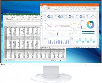 EIZO FLEXSCAN EV2410R 24.1