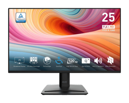 LCD Monitor|MSI|24.5