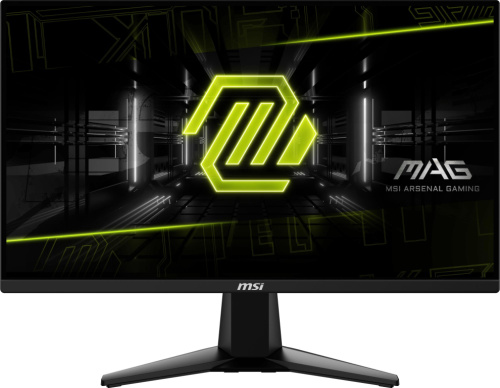 LCD Monitor|MSI|MAG 255F E20|24.5