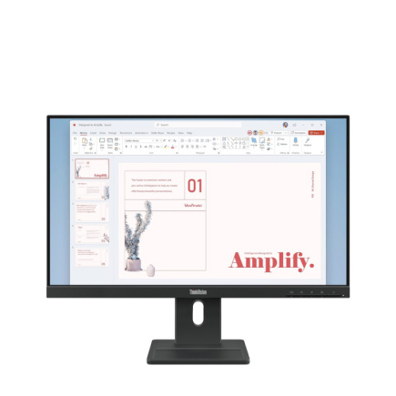 Lenovo ThinkVision E24-40 LED display 60.5 cm (23.8