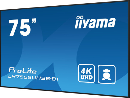 iiyama 75