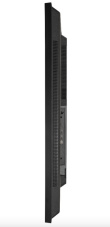 AG NEOVO Display 55 inch QM-5503 4K 500cd/m2 5000:1 HDMI USB-C RJ-45 SPEAKERS 400X400
