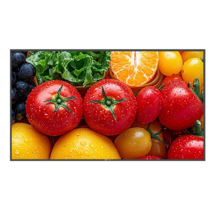 AG NEOVO Display 55 inch QM-5503 4K 500cd/m2 5000:1 HDMI USB-C RJ-45 SPEAKERS 400X400