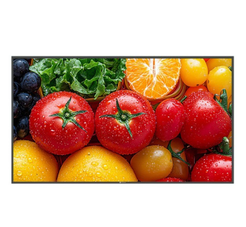 AG NEOVO Display 55 inch QM-5503 4K 500cd/m2 5000:1 HDMI USB-C RJ-45 SPEAKERS 400X400