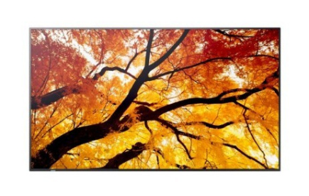 Sharp Display MultiSync M322 32-inch 24/7