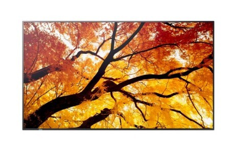 Sharp Display MultiSync M322 32-inch 24/7