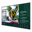 Benq BENQ 55''ST5504 LED 4K/4500:1/ANDROID