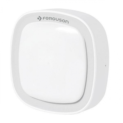 Ferguson FS1MS motion sensor