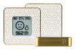 AIRVALENT AIRV-DIAM digital weather station Gold, White Battery