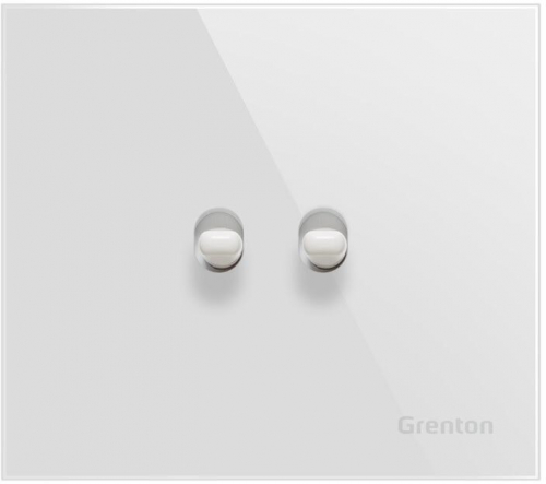 Double button SWITCH white Grenton