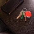 Shelly Plug & Play 