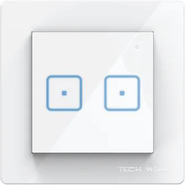 Wired Dual Pole Switch Valge FS-02M Tech Controllers
