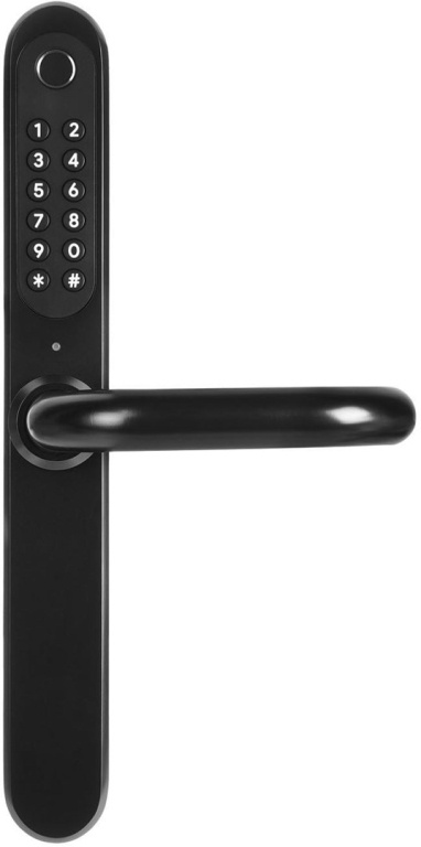 Handle with Access Control EURA ELH-30H4 Black