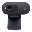 Logitech C505 HD VEEBIKAAMERA