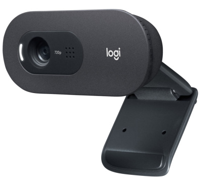 Logitech C505 HD VEEBIKAAMERA