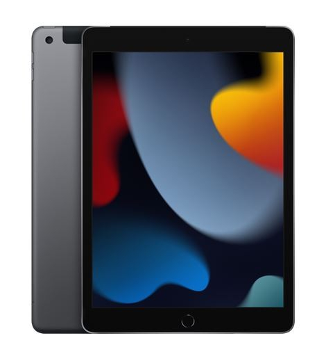 Apple iPad 10.2-inch Wi-Fi + Cellular 256GB - Space Grey