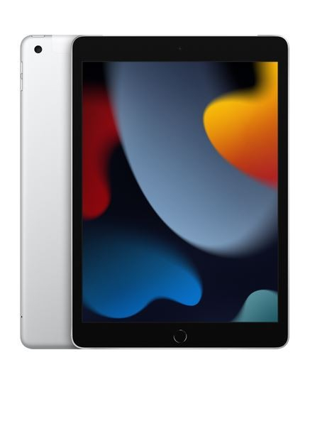 Apple iPad 10.2-inch Wi-Fi + Cellular 256GB - Silver