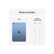 Apple iPad 11