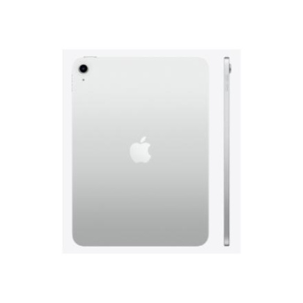 Apple iPad 11