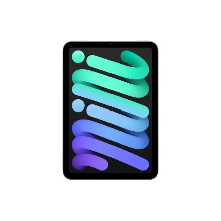 Apple iPad Mini | 8.3 