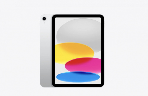 Apple IPAD WF CL 256GB SLV