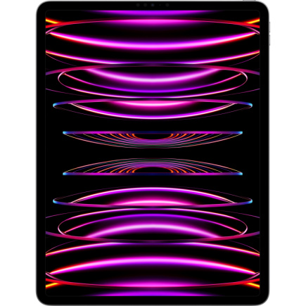 Apple iPad Pro 12.9 Wi-Fi 1TB spacegrau (6.Gen.) *NEW*
