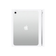 Apple iPad 11
