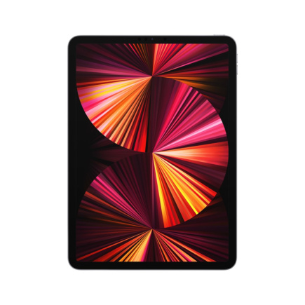 Apple iPad Pro 256 GB 27.9 cm (11