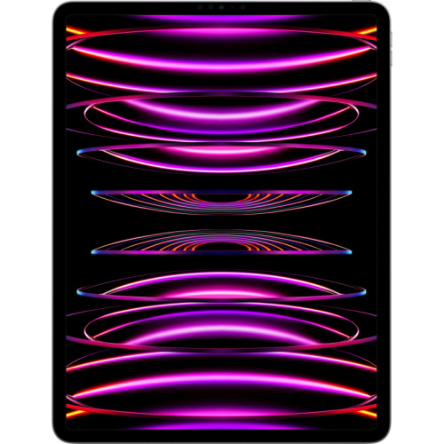 Apple iPad Pro 12.9 Wi-Fi 1TB spacegrau (6.Gen.) *NEW*