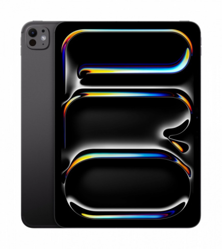 Apple iPad Pro 11 inch Wi-Fi + Cellular 256GB - Space Must