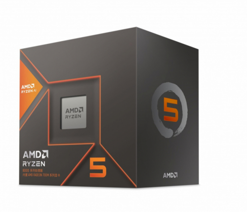 AMD Processor Ryzen 5 8600G 100-100001237BOX