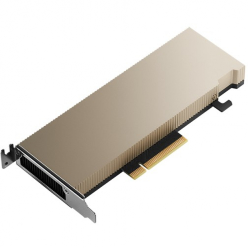 16 GB PNY NVIDIA A2 GPU-Rechenprozessor GDDR6 passiv