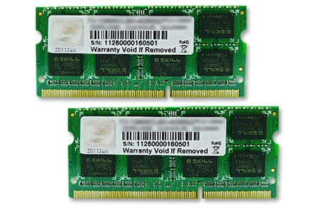 G.Skill 8GB DDR3-1600 memory module 1 x 8 GB 1600 MHz PAMGSKSOO0045