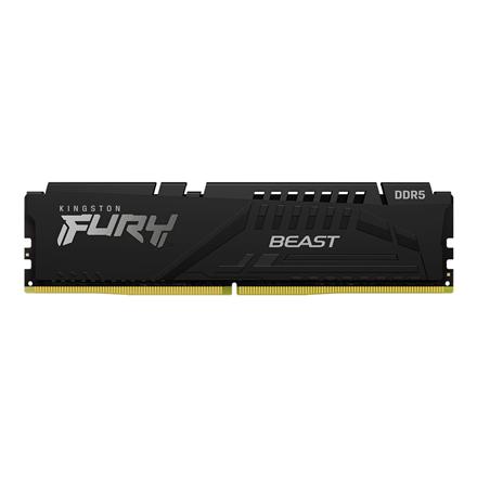 Kingston | 32 GB | DDR5 | 5600 MHz | PC/server | Registered No | ECC No